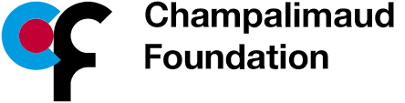 Champalimaud Foundation, Computational Clinical Imaging Group, Lisboa, Portugal